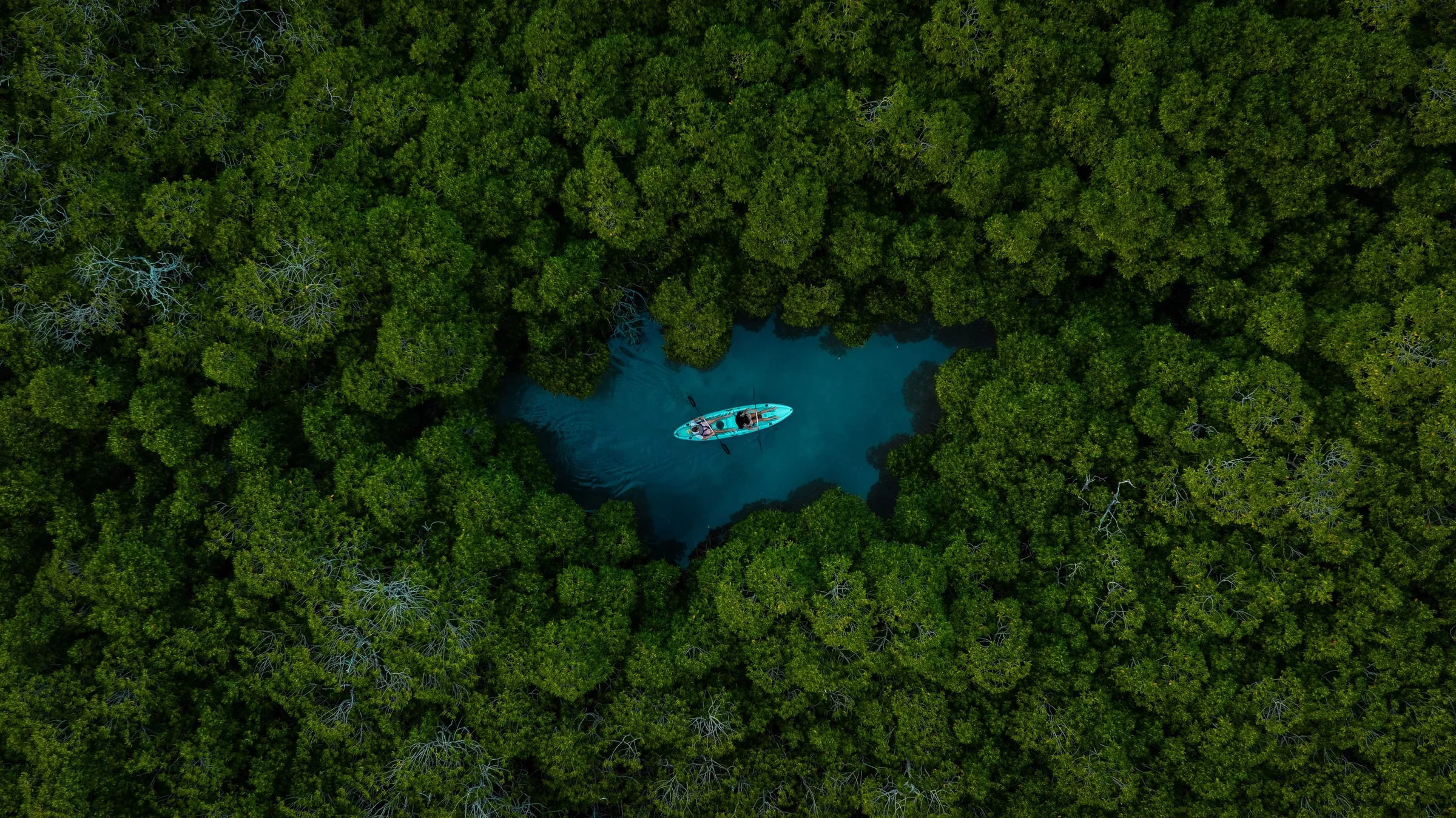 Kayak in the mangroves at Île d’Ambre